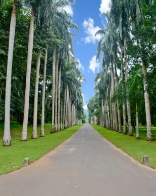 2-Weeks-Sri-Lanka-Itinerary-Peradeniya