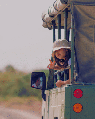 Safari