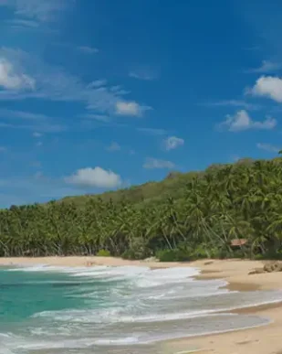 Sri-Lanka-Tour-Packages-Southern-Beach