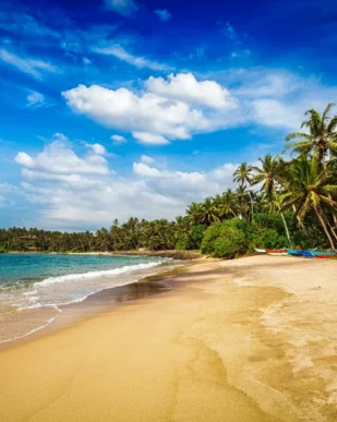 Sri Lanka Nature & Wildlife Tour 7 Days