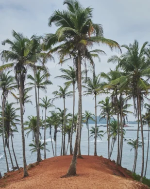 Sri Lanka Nature & Wildlife Tour 7 Days
