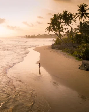 Sri Lanka Nature & Wildlife Tour 7 Days