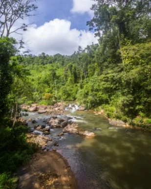 Sri Lanka Nature & Wildlife Tour 7 Days