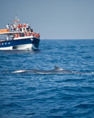 Sri Lanka Nature & Wildlife Tour 7 Days