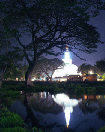 Sri Lanka Heritage, Wildlife & Highlands Tour – 8 Days