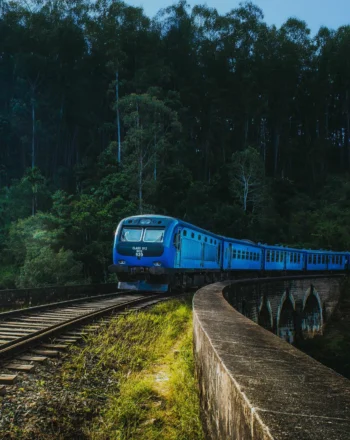 Sri Lanka’s Highlands Adventure – 7 Days