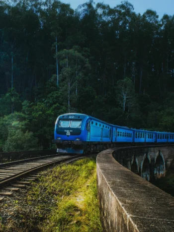 Sri Lanka Tours 7 Days